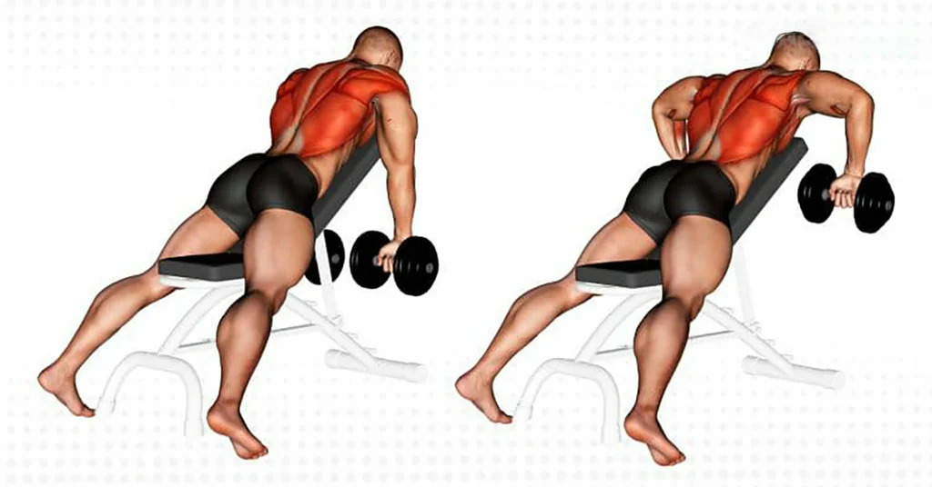 Chest Supported Row